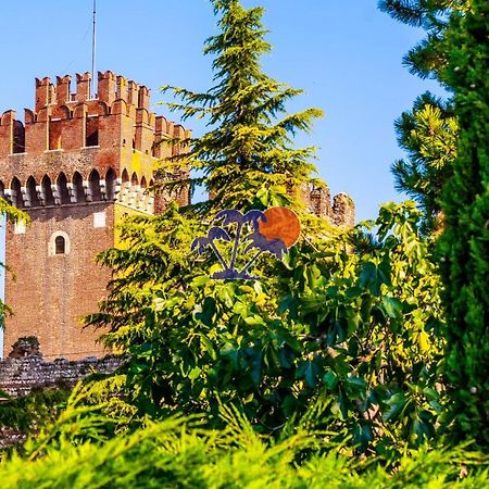 Appartamenti Gli Olmi Lazise Exterior foto